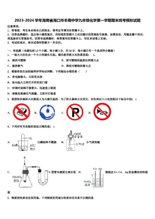 2023-2024学年海南省海口市丰南中学九年级化学第一学期期末统考模拟试题含解析.doc