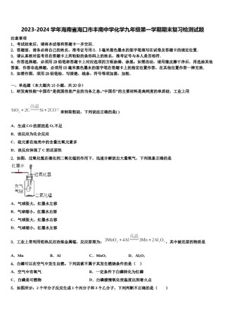 2023-2024学年海南省海口市丰南中学化学九年级第一学期期末复习检测试题含解析.doc