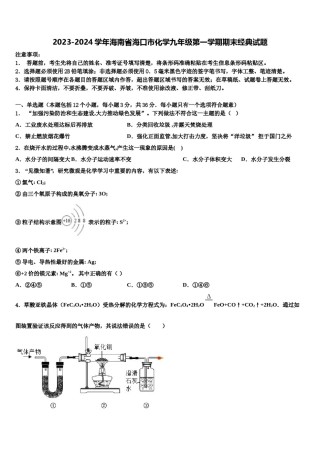 2023-2024学年海南省海口市化学九年级第一学期期末经典试题含解析.doc