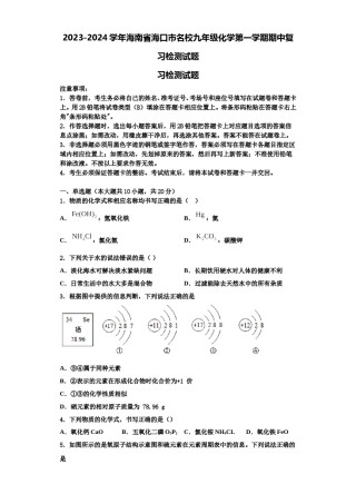 2023-2024学年海南省海口市名校九年级化学第一学期期中复习检测试题含解析.doc