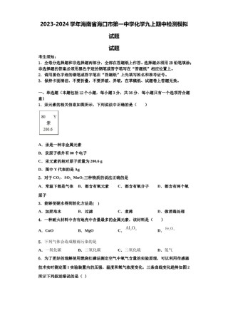 2023-2024学年海南省海口市第一中学化学九上期中检测模拟试题含解析.doc