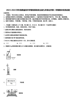 2023-2024学年海南省琼中学黎族苗族自治县九年级化学第一学期期末检测试题含解析.doc