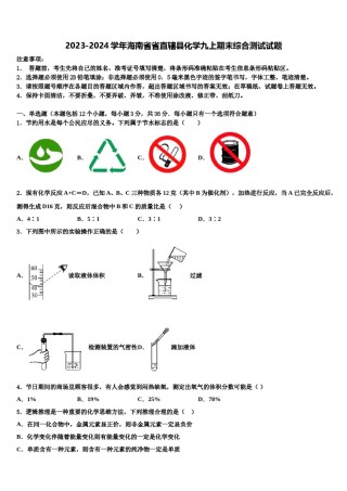 2023-2024学年海南省省直辖县化学九上期末综合测试试题含解析.doc