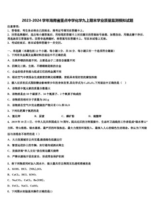 2023-2024学年海南省重点中学化学九上期末学业质量监测模拟试题含解析.doc