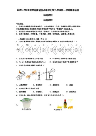 2023-2024学年海南省重点中学化学九年级第一学期期中质量检测试题含解析.doc