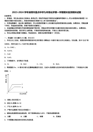 2023-2024学年淄博市重点中学九年级化学第一学期期末监测模拟试题含解析.doc
