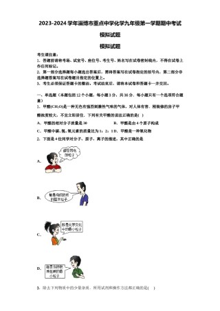 2023-2024学年淄博市重点中学化学九年级第一学期期中考试模拟试题含解析.doc