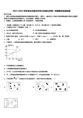2023-2024学年淮北市重点中学九年级化学第一学期期末检测试题含解析.doc