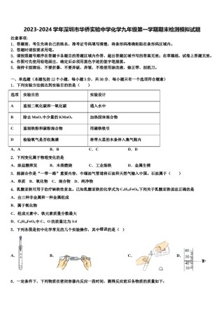2023-2024学年深圳市华侨实验中学化学九年级第一学期期末检测模拟试题含解析.doc