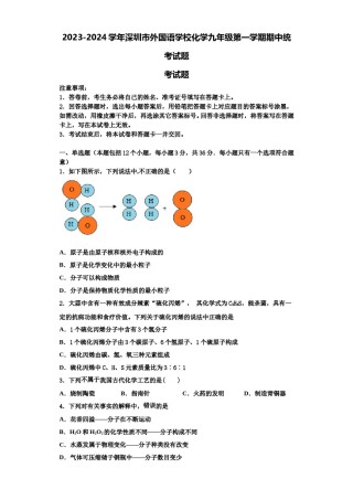 2023-2024学年深圳市外国语学校化学九年级第一学期期中统考试题含解析.doc