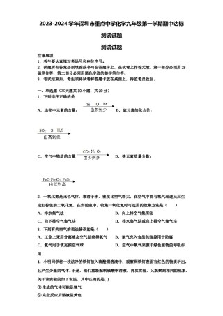 2023-2024学年深圳市重点中学化学九年级第一学期期中达标测试试题含解析.doc