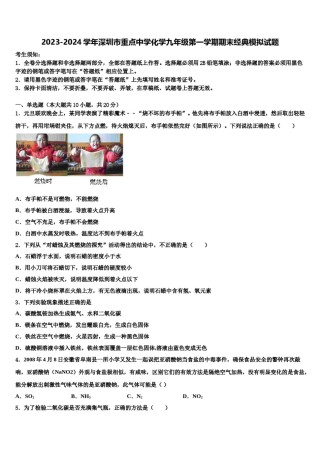 2023-2024学年深圳市重点中学化学九年级第一学期期末经典模拟试题含解析.doc