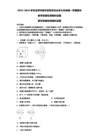 2023-2024学年深圳市锦华实验学校化学九年级第一学期期中教学质量检测模拟试题含解析.doc