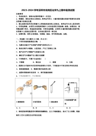 2023-2024学年深圳市龙岗区化学九上期中监测试题含解析.doc