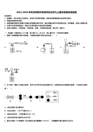 2023-2024学年深圳锦华实验学校化学九上期末质量检测试题含解析.doc