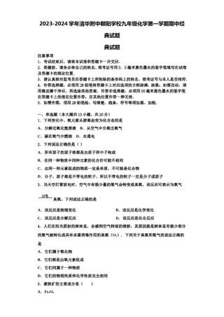 2023-2024学年清华附中朝阳学校九年级化学第一学期期中经典试题含解析.doc