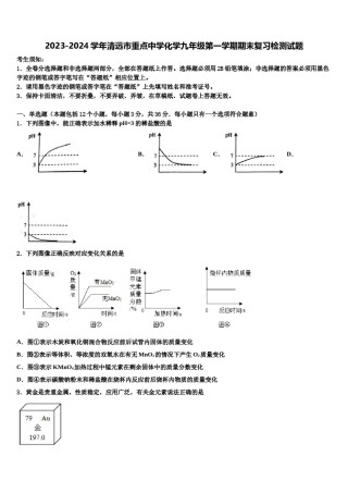 2023-2024学年清远市重点中学化学九年级第一学期期末复习检测试题含解析.doc