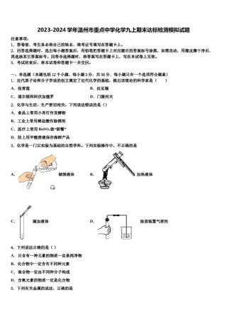 2023-2024学年温州市重点中学化学九上期末达标检测模拟试题含解析.doc