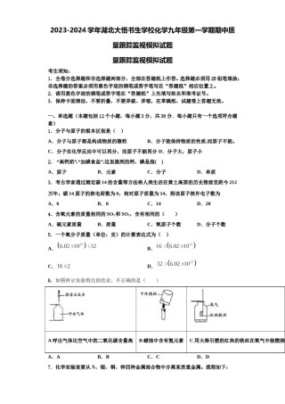2023-2024学年湖北大悟书生学校化学九年级第一学期期中质量跟踪监视模拟试题含解析.doc