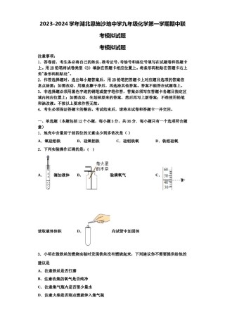 2023-2024学年湖北恩施沙地中学九年级化学第一学期期中联考模拟试题含解析.doc