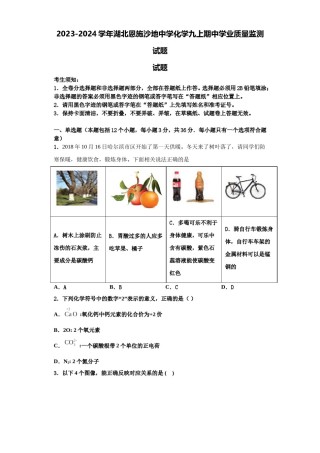 2023-2024学年湖北恩施沙地中学化学九上期中学业质量监测试题含解析.doc