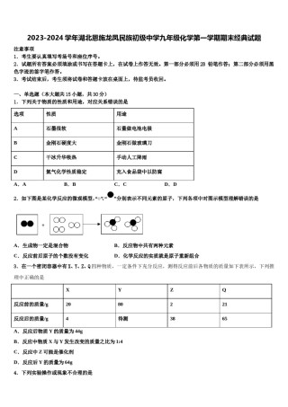 2023-2024学年湖北恩施龙凤民族初级中学九年级化学第一学期期末经典试题含解析.doc