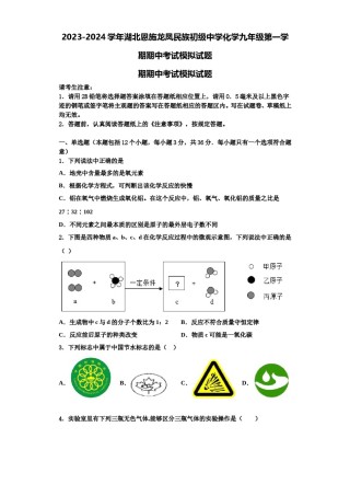 2023-2024学年湖北恩施龙凤民族初级中学化学九年级第一学期期中考试模拟试题含解析.doc