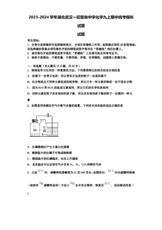 2023-2024学年湖北武汉一初慧泉中学化学九上期中统考模拟试题含解析.doc