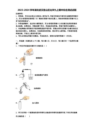 2023-2024学年湖北武汉青山区化学九上期中综合测试试题含解析.doc