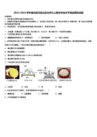 2023-2024学年湖北武汉青山区化学九上期末学业水平测试模拟试题含解析.doc