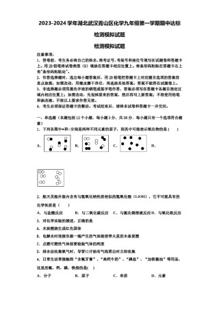2023-2024学年湖北武汉青山区化学九年级第一学期期中达标检测模拟试题含解析.doc