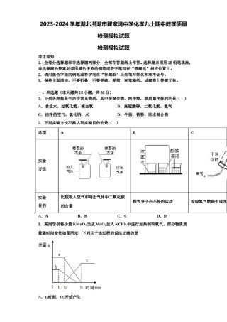 2023-2024学年湖北洪湖市瞿家湾中学化学九上期中教学质量检测模拟试题含解析.doc