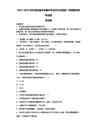 2023-2024学年湖北省丰溪镇中学化学九年级第一学期期中联考试题含解析.doc