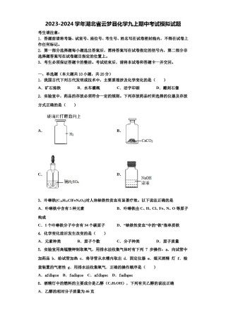 2023-2024学年湖北省云梦县化学九上期中考试模拟试题含解析.doc