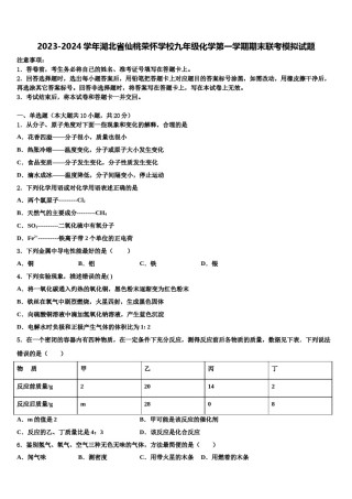 2023-2024学年湖北省仙桃荣怀学校九年级化学第一学期期末联考模拟试题含解析.doc