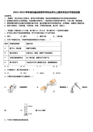 2023-2024学年湖北省仙桃荣怀学校化学九上期末学业水平测试试题含解析.doc