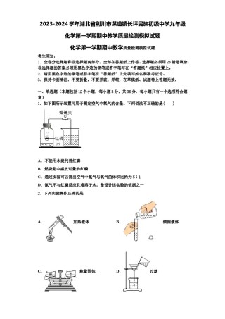2023-2024学年湖北省利川市谋道镇长坪民族初级中学九年级化学第一学期期中教学质量检测模拟试题含解析.doc