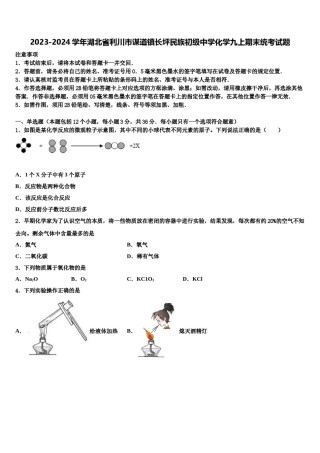 2023-2024学年湖北省利川市谋道镇长坪民族初级中学化学九上期末统考试题含解析.doc