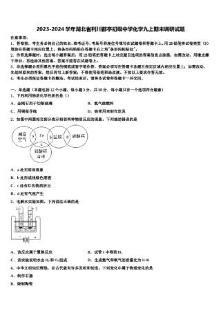 2023-2024学年湖北省利川都亭初级中学化学九上期末调研试题含解析.doc