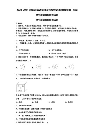 2023-2024学年湖北省利川都亭初级中学化学九年级第一学期期中质量跟踪监视试题含解析.doc