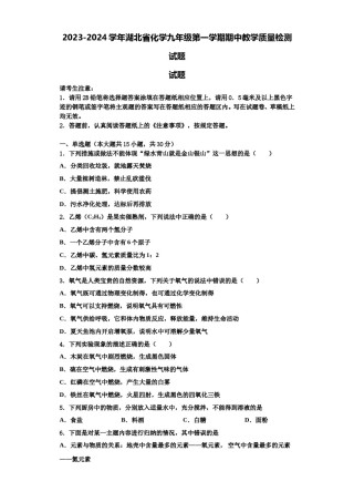 2023-2024学年湖北省化学九年级第一学期期中教学质量检测试题含解析.doc