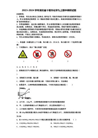 2023-2024学年湖北省十堰市化学九上期中调研试题含解析.doc