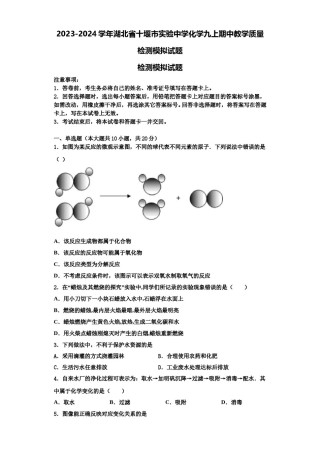 2023-2024学年湖北省十堰市实验中学化学九上期中教学质量检测模拟试题含解析.doc