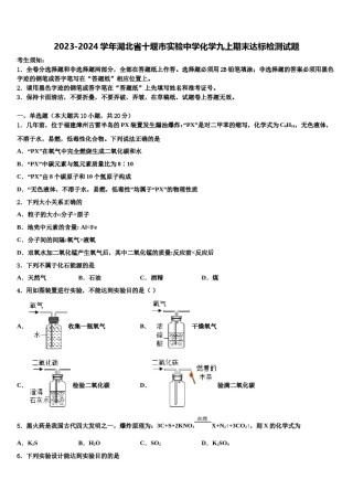 2023-2024学年湖北省十堰市实验中学化学九上期末达标检测试题含解析.doc