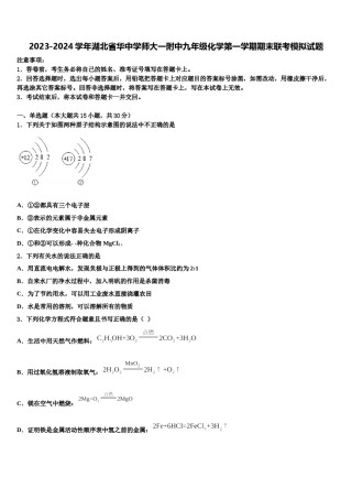 2023-2024学年湖北省华中学师大一附中九年级化学第一学期期末联考模拟试题含解析.doc