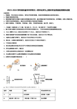 2023-2024学年湖北省华中学师大一附中化学九上期末学业质量监测模拟试题含解析.doc