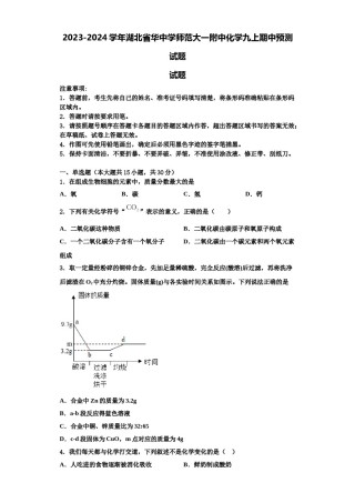 2023-2024学年湖北省华中学师范大一附中化学九上期中预测试题含解析.doc