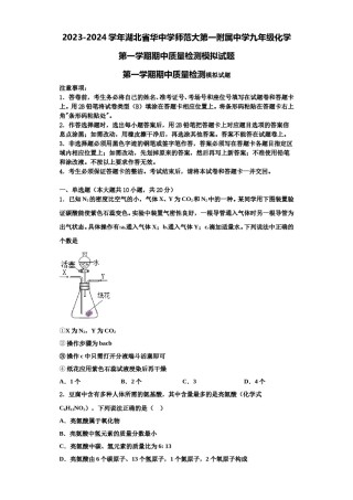 2023-2024学年湖北省华中学师范大第一附属中学九年级化学第一学期期中质量检测模拟试题含解析.doc