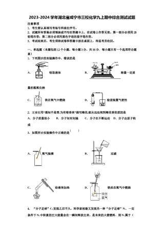 2023-2024学年湖北省咸宁市三校化学九上期中综合测试试题含解析.doc