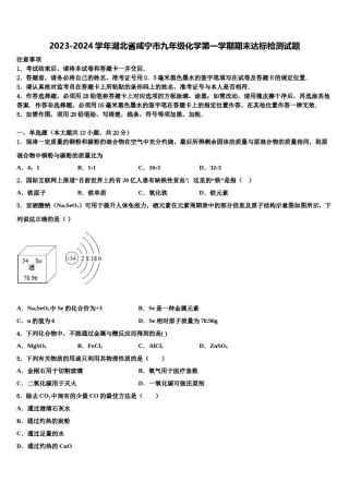 2023-2024学年湖北省咸宁市九年级化学第一学期期末达标检测试题含解析.doc